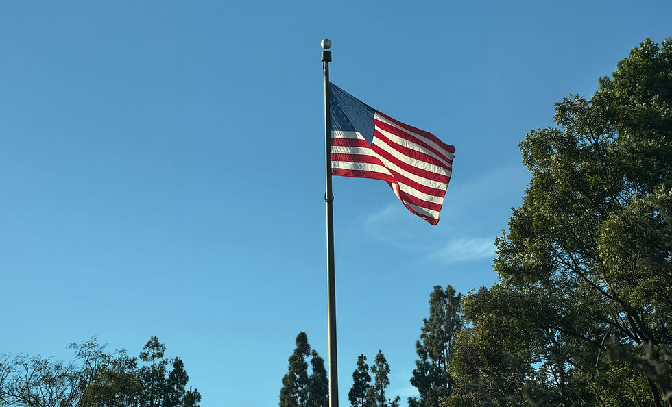 The flag of the United States of America