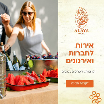 ארגון עובדים
משאבי אנוש