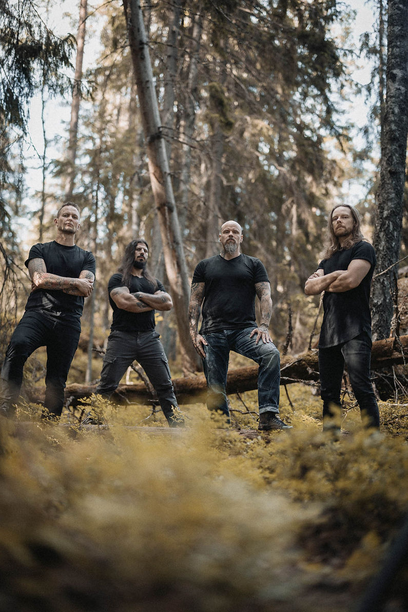 FOREST 3 COLOUR web.jpg