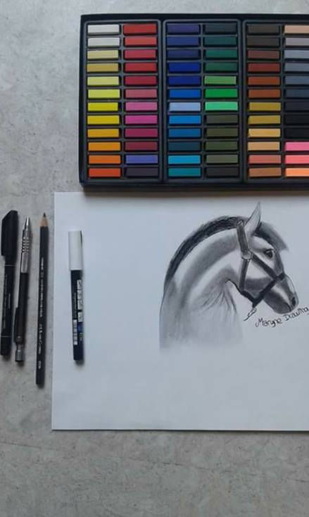 Dessin cheval