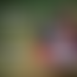 2022 CT Wiffs Review: Top 15 Teams