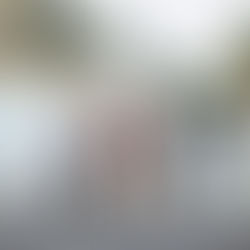 Best Galveston Neighbourhood's for Vacation Rentals (Beach, Downtown, Historic)