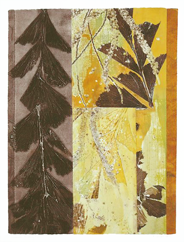 Summer Mid Day 25
