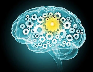 rs=w_388,cg_true (26).jpg