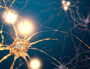 rs=w_388,cg_true (20).jpg