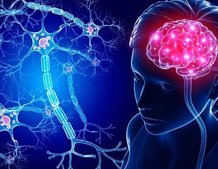 rs=w_388,cg_true (14).jpg