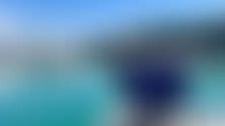 Waiheke Marina becomes first marina partner for SeaKeepers South Pacific