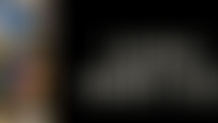 Living Heritage / CHICAGO