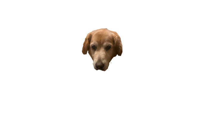 Untitled_Artwork 3 copy.png