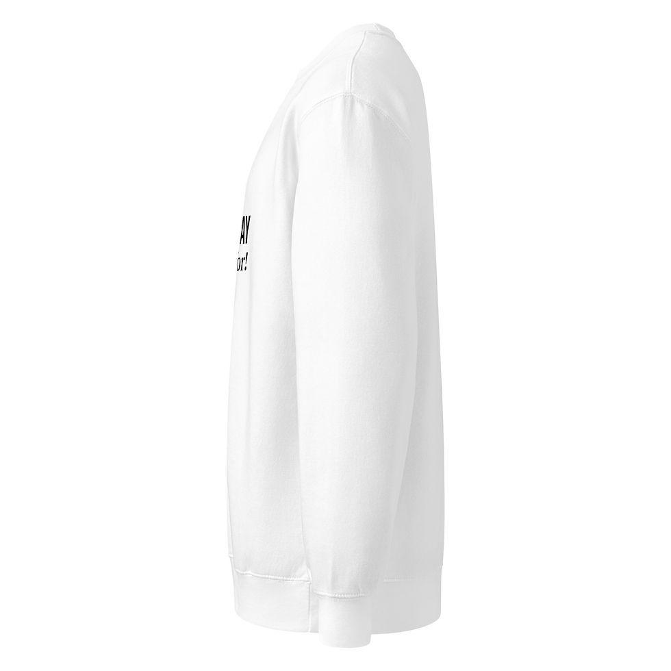 Thumbnail: Have the Day You Voted For Sweatshirt 