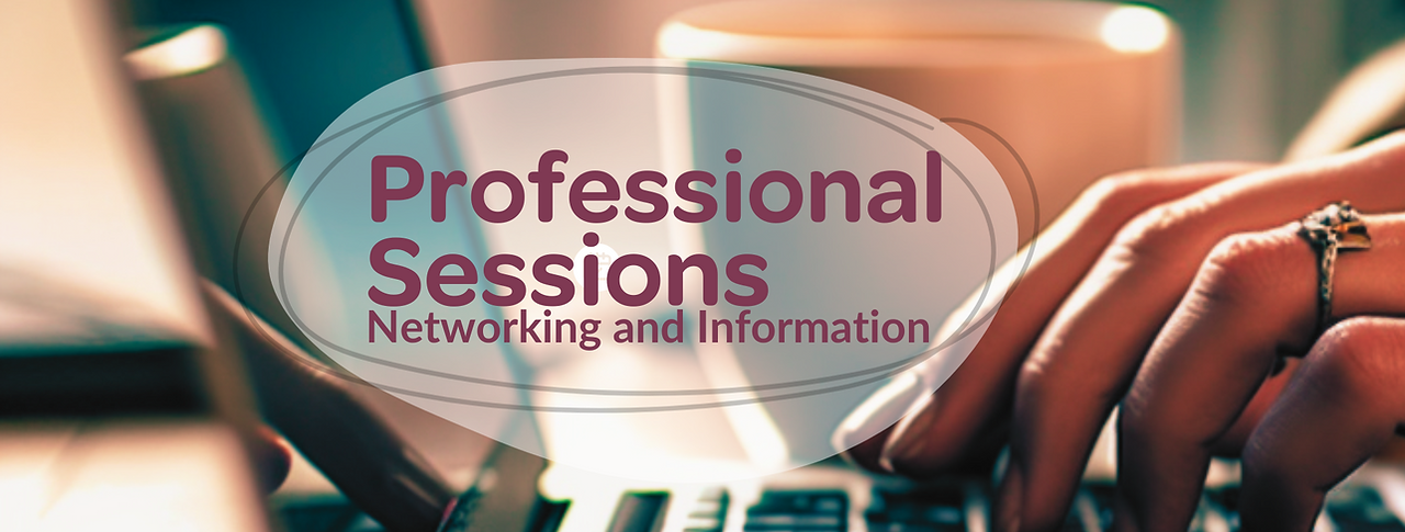 professional (1920 x 1080 px).png