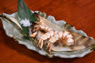 大阪府池田市 阪急池田駅 徒歩2分の居酒屋”のらばる”の”人気メニュー”海鮮料理の一つ,エビ塩焼き"
