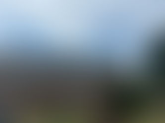 roof replacement or repair after storm damage