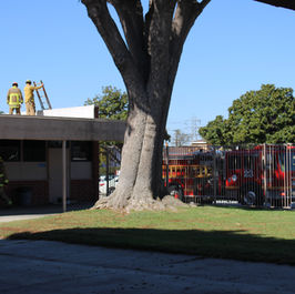 Mayfair's Electric Gas Issue