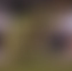 Bears Beat Packers in Stunning Fashion in Wildcard Round