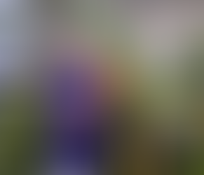 Teacher Spotlight: Mr. McCabe