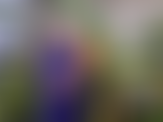 Teacher Spotlight: Mr. McCabe