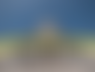 Temporary Government Shutdown