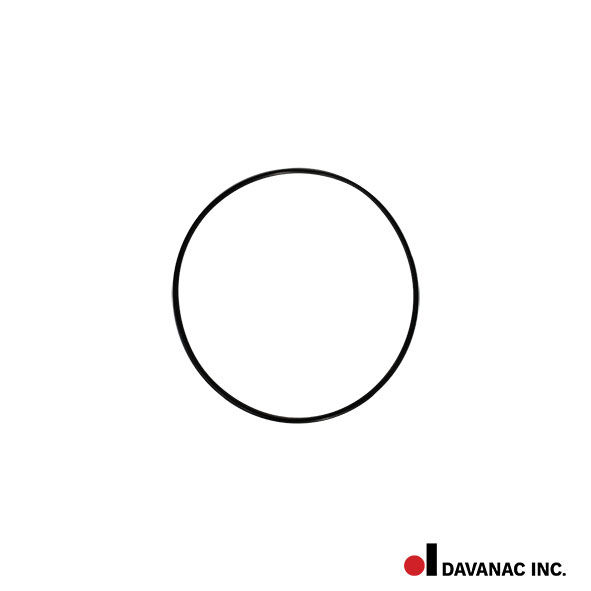 O-ring #405029