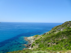 7C5264CF-BC48-4AD0-BEE1-A82A413D7E01_1_201_a.jpeg