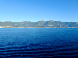 7E37993C-89F3-4B3F-99BF-B1BEB00500C2_1_201_a.jpeg