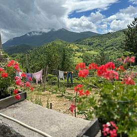C8EECA4B-D8E4-4D49-B4B8-7E15058016F9_1_105_c.jpeg