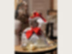 Miniaturbild: Ski You Later · Der Beutel