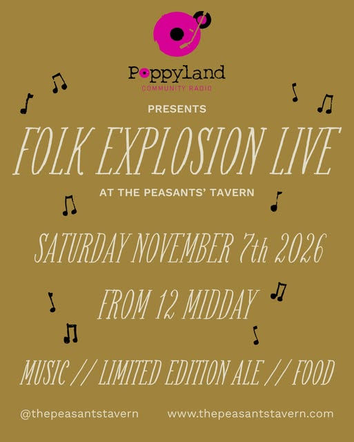Folk Explosion Live