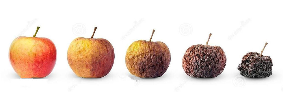ree