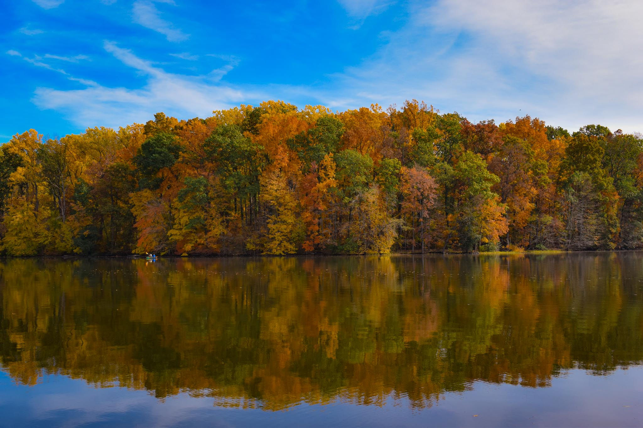 Gifford Pinchot State Park 5x7 Print