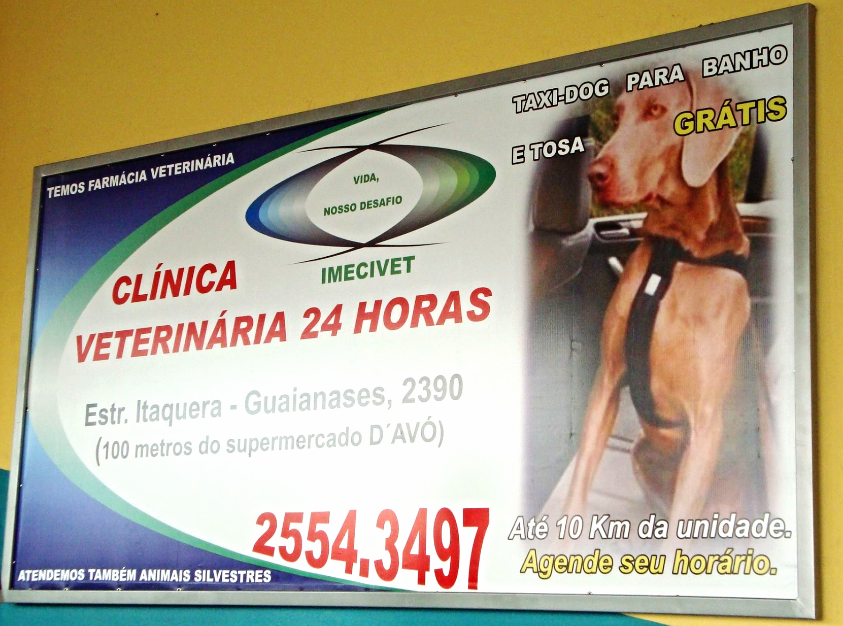 Ação Mundocão