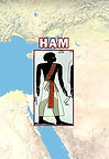 HAM 9