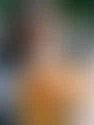 Engagement Photos with Fall Bouquet - Rochester Film Photographer