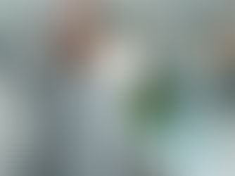 Executive stressful situation 