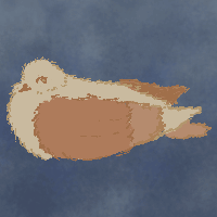 love bird and blue.gif