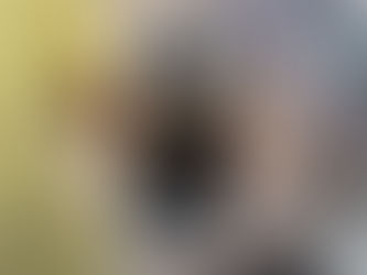 Evelin, joven de 18 años con rickettsia, lucha por su vida tras diagnóstico de muerte cerebral en Tijuana