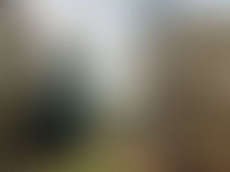 Polonia derriba dron sobre edificios oficiales y detiene a dos ciudadanos bielorrusos