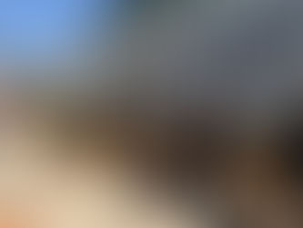 Decomisan más de una tonelada de drogas en Tijuana