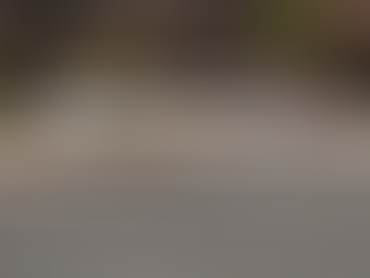 Tragedia en excursión escolar: estudiante de Utah se quita la vida frente a sus compañeros