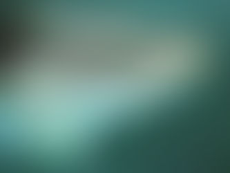 Liberan 40 mil crías de totoaba en Baja California Sur