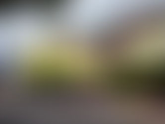 Mural “Abrazo Mutuo” lleva profecía Kumiai al muro fronterizo