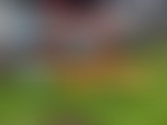 Hallan ataúd vacío en basurero cercano al Panteón Dolores