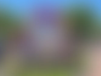 Disneyland celebra 70 años con homenaje a trabajadores en Main Street