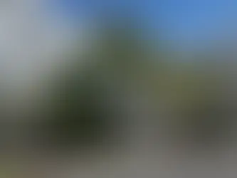 Tragedia en asilo de Brooklyn: mujer de 89 años muere tras brutal ataque con pieza de silla de ruedas