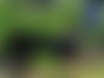 Ejército y AEI destruyen diez plantíos de mariguana en Chihuahua; hallan campamentos y tendederos