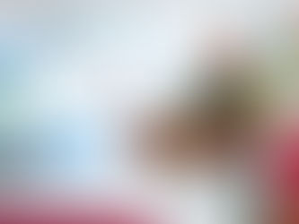 SEDENA admite que el hackeo de “Guacamaya Leaks” fue error humano, no falla del sistema