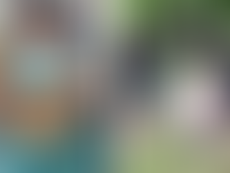 Veracruz investiga asesinato de maestra: crimen organizado y extorsión bajo la lupa