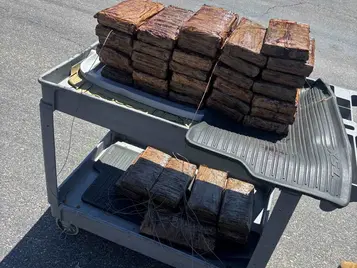 CBP decomisa más de 128 libras de fentanilo en Pine Valley, California