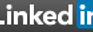 logo linkedin.jpg