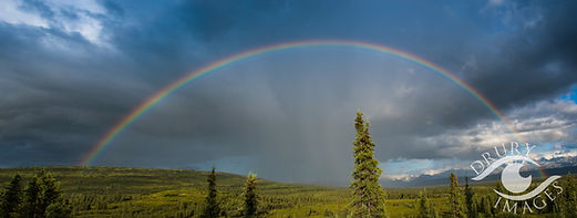 Rainbow over the meadow at Denali National Park, Alaska